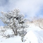 덕유산 <b>설경</b>중에 이상한 장면이....