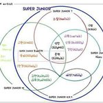 슈주를 <b>구성</b>하는 것