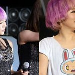 독특한 헤어스타일 담당 아이돌<b>맴</b><b>버</b>