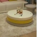 <b>혼수</b> 질문이예요ㅜㅜ꼭좀 대답부탁드려요ㅜㅜ