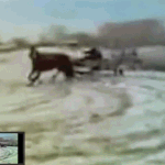1마력 드리프트.<b>gif</b>