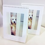 2013 둥이 <b>달력</b>! 우리집 스피츠 둥이 사진으로 <b>달력</b> 만들었어요.
