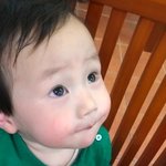 사랑스런 지<b>찬</b>이를 소개합니다.