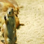 제1부 400일 겨울 데이트!!!! <b>킨텍스</b> 사진관 놀이