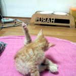 [후기] 좋은분과 가족이 되었어요:)