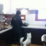 [가비두비21탄]사람인지 개인지 헷갈리는 똥꼬<b>발랄</b>우리집멍멍2들을...