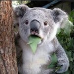 <b>소셜</b>데이팅 이음 아는사람??