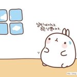 <b>몰랑</b>이몰랑몰랑