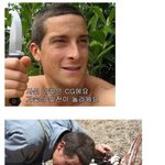 생존왕 <b>베어</b>그릴스의 실체....?
