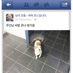 반도의 흔한 주인반기는 <b>반려</b>견.jpg (펌)