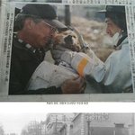 가슴에 <b>통증</b>일으키는 영상+사진 모음