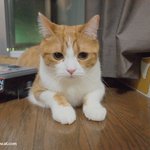 유봉이 사고치다(사건<b>재연</b>)(유봉이네)