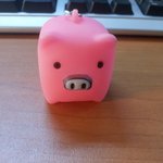 아놔 이런 <b>돼지</b>가~