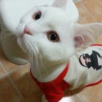 냥판뽀찬) 죄와벌 (약간스압주의)