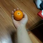귤사진따라하다가내친구의<b>최후</b>