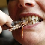 ***사진有)부산중딩훈남 남자들 얼짱도전!!!***