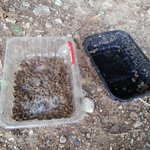 길냥이랑 친해지기 세번째이야기