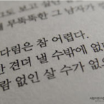새로운<b>사랑</b>을시작했어요..가슴아픈 <b>사랑</b>을...