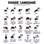 강아지 감정<b>표현</b> 프린트 하기 좋은 사이즈 ^^