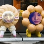 이쁘니 자작설도 도는구나