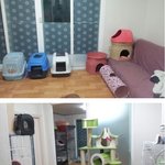 천안 쉼터 아이들에게 관심과 응원이 필요합니다 ^o^