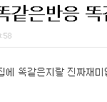 이<b>반일</b>짱이누구냐?