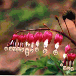 ◑@사진有)남친여장시키기@◑