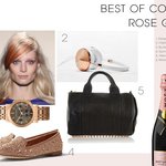 로즈골드(Rose <b>Gold</b>)열풍 ... 로맨틱을 넘어서다 (패션아이템소개)...