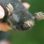 신기한<b>동물</b>