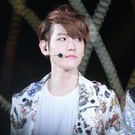 변백현 바<b>보시</b>킼ㅋㅋㅋㅋ