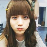 징어분들아 그거 암?!