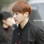 캐면캘수록 고영욱은 싫어ㅓㅓ