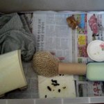 축임신 우리집 고슴도치 흥이!!!!!!! 임신해써요!!!!!!!...