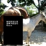 사진)제남동생의ㅇㄷ취향이..<b>짐승</b>인것같아요