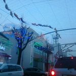 <b>산천어</b> 축제~