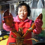 [부산/해운대] 바닷가재를 먹을수있는 럭셔리 포장마차, 해운대 포장마차촌...