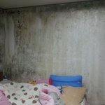 원룸 사는 세 가족.. <b>도움</b> 좀 부탁드립니다