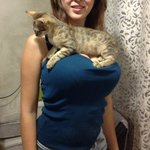 <b>푹신</b>한 곳에서 쉬고있는 고양이