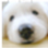 <b>상근</b>이 귀여움