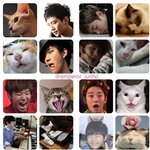 ✖✖✖고양이 닮은 아이돌✖✖✖