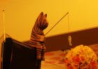 19) 형<b>누나</b>들 나진짜 어떻게<b>해</b> ㅠㅠ