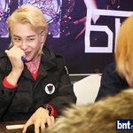 뭐야 갑자기 꿀벌<b>출몰</b>