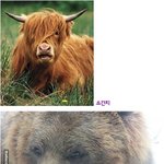 동물계 3대 <b>미남</b> ㅋㅋㅋ