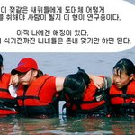 <b>빠순</b>이들 봐라