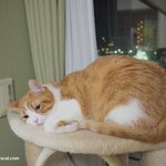 울집에 귀신이 산다!!(유봉이네)