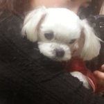 19)숙녀들의 자존심 대결 [귀진요]