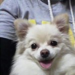 춘자네집