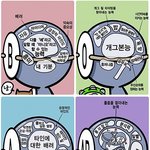 혈액형별 뇌<b>구조</b>