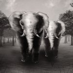 마우스와 타블렛으로 그린 그림들,jpg