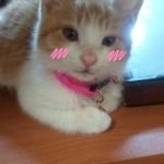 <b>금이</b>판) 추위를 피하는 방법!